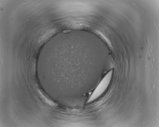 X0000088070493200705251406