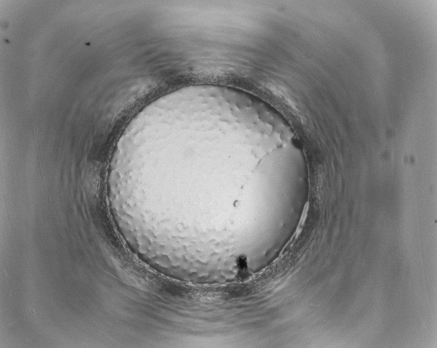 X0000088070495200705251406