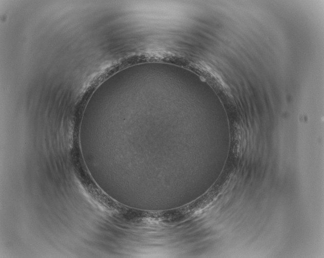 X0000088070496200705251406