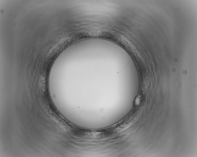 X0000088070497200705251406