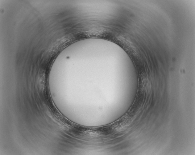 X0000088070498200705251406