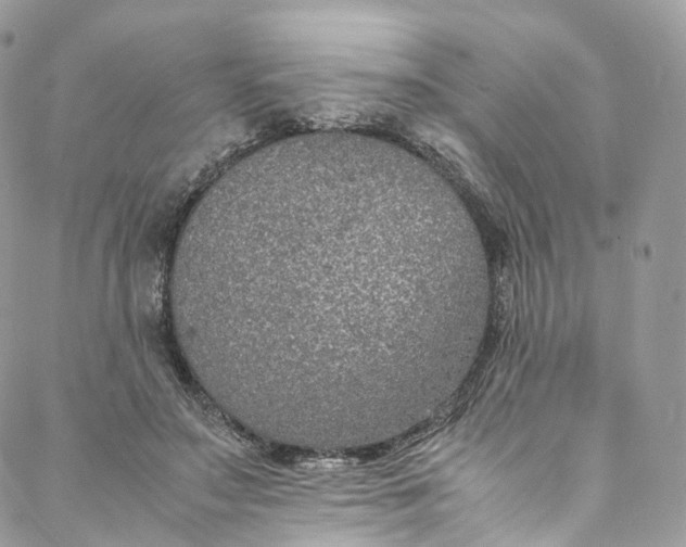 X0000088070499200705251406