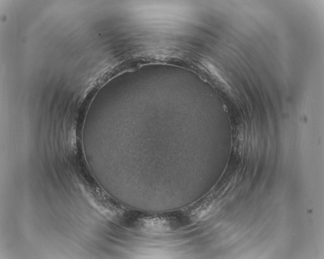 X0000088070500200705251406