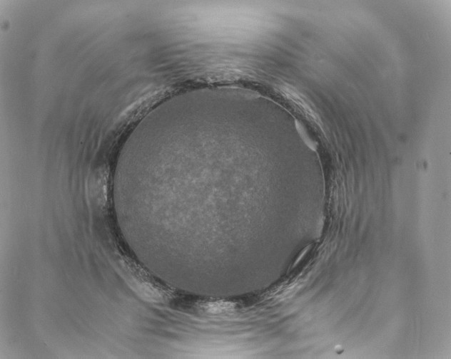 X0000088070501200705251406