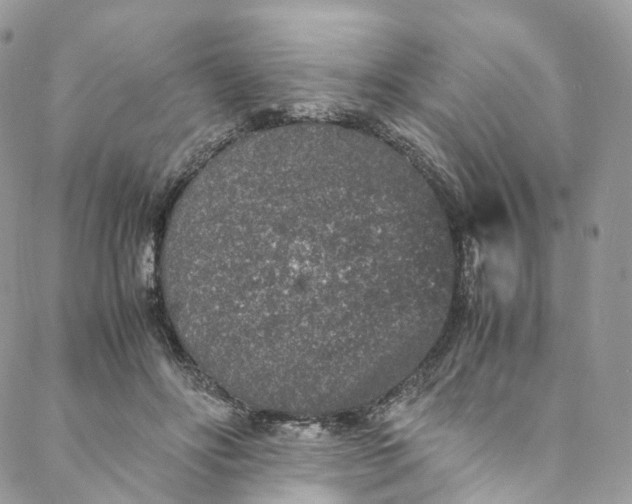 X0000088070502200705251406