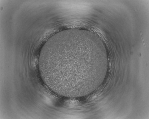 X0000088070503200705251406