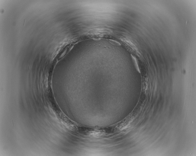 X0000088070504200705251406