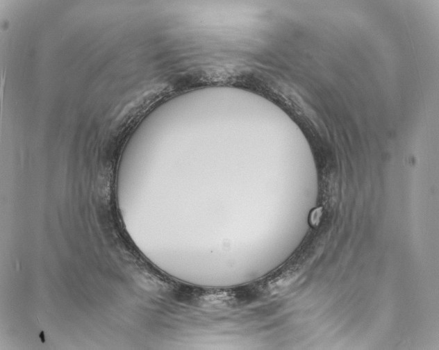 X0000088070505200705251406