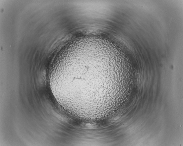 X0000088070506200705251406