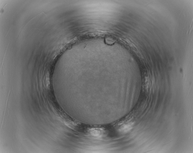 X0000088070508200705251405