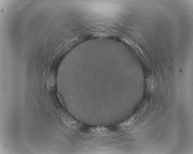 X0000088070517200705251405