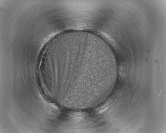 X0000088070540200705251405