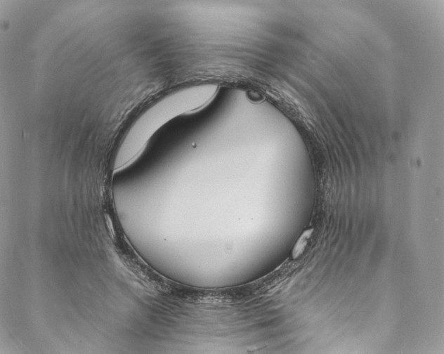 X0000088070546200705251405