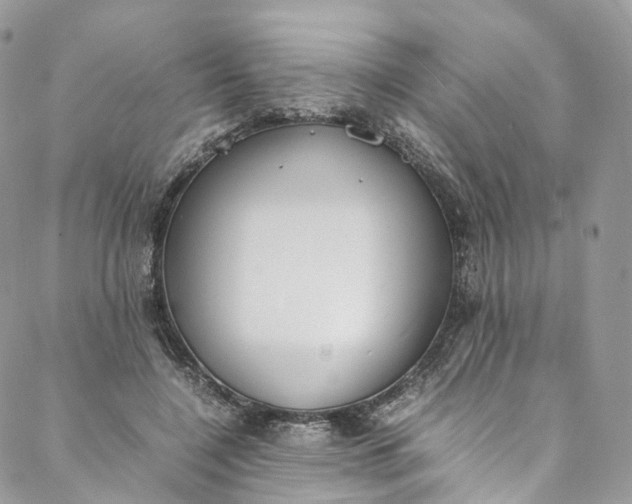 X0000088070548200705251405