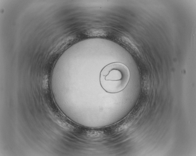 X0000088070549200705251405