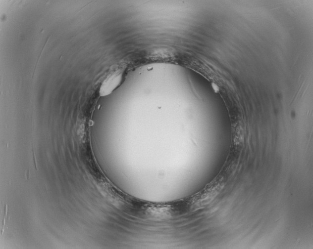 X0000088070560200705251405