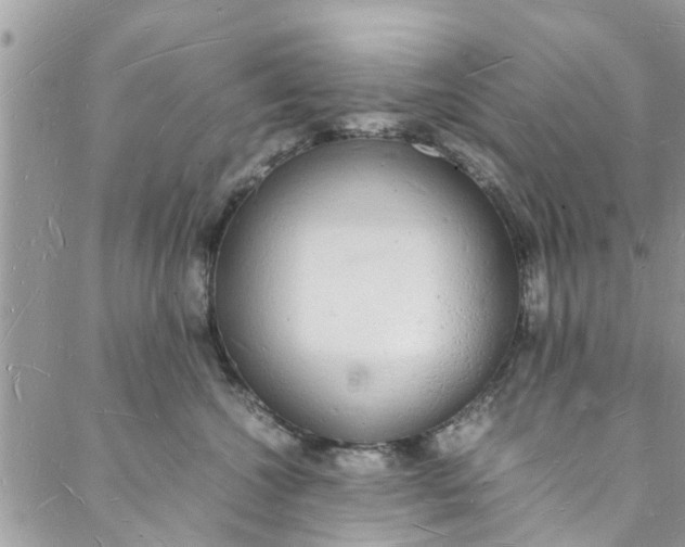 X0000088070572200705251405