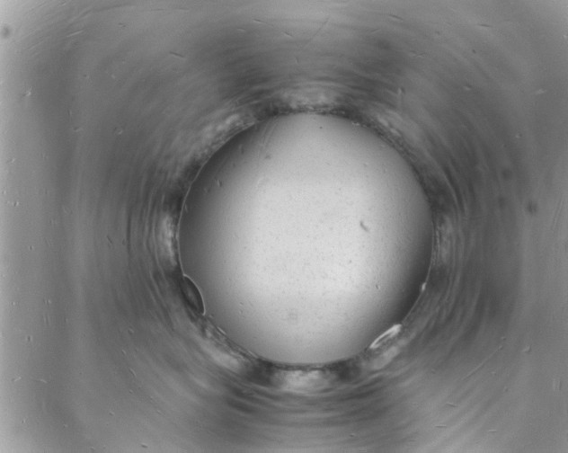 X0000088070575200705251405