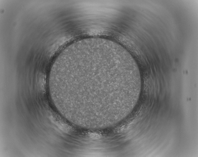 X0000088070592200705251404