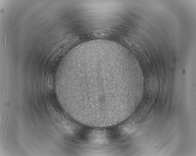 X0000088070606200705251404