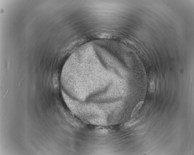 X0000088070620200705251404