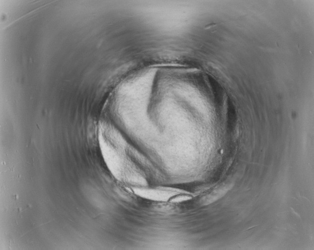 X0000088070624200705251404
