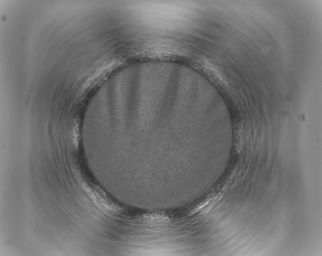 X0000088070644200705251403