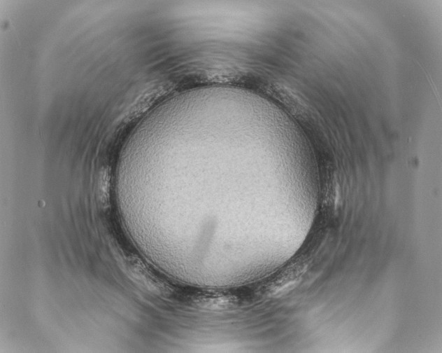 X0000088070646200705251403