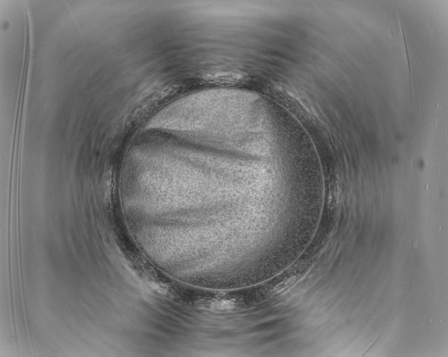 X0000088070647200705251403