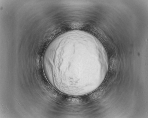 X0000088070655200705251403