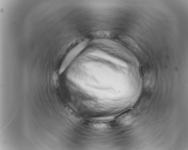 X0000088070669200705251404