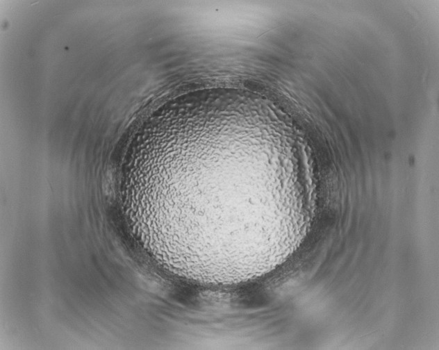 X0000088070699200705251402