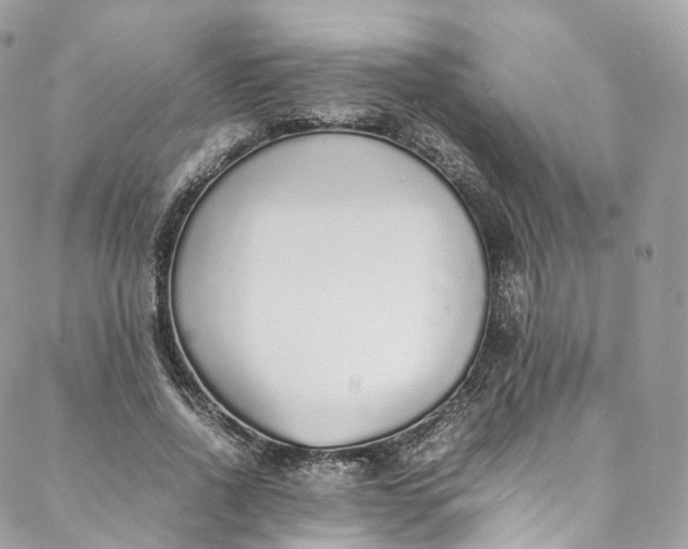 X0000088070734200705251401