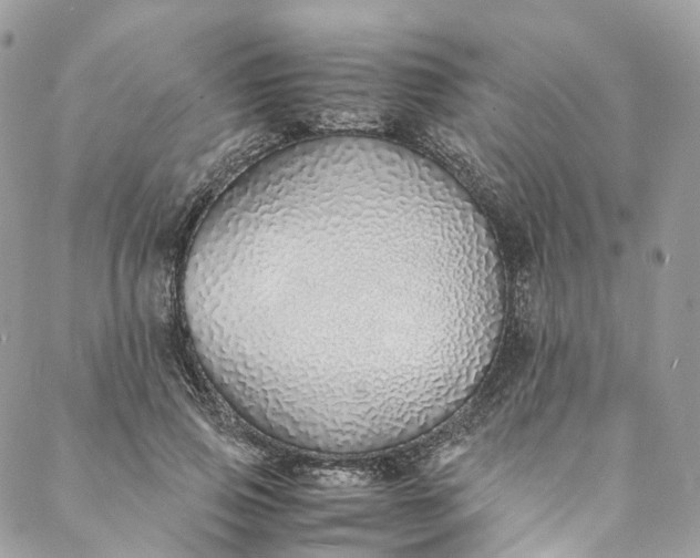 X0000088070741200705251402