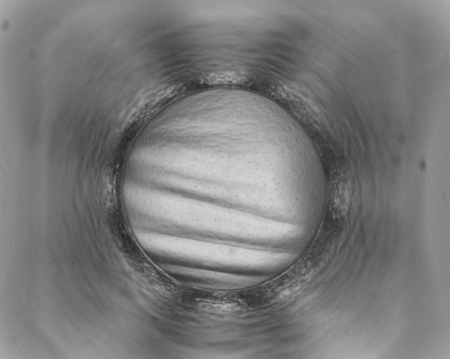 X0000088070743200705251402