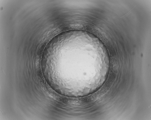 X0000088070745200705251402