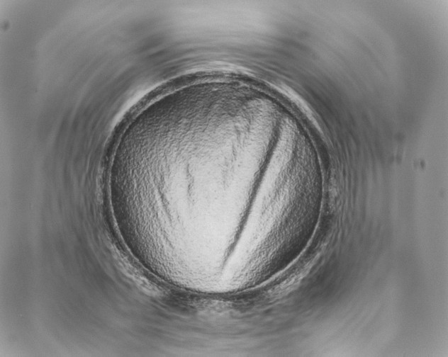 X0000088070783200705251401