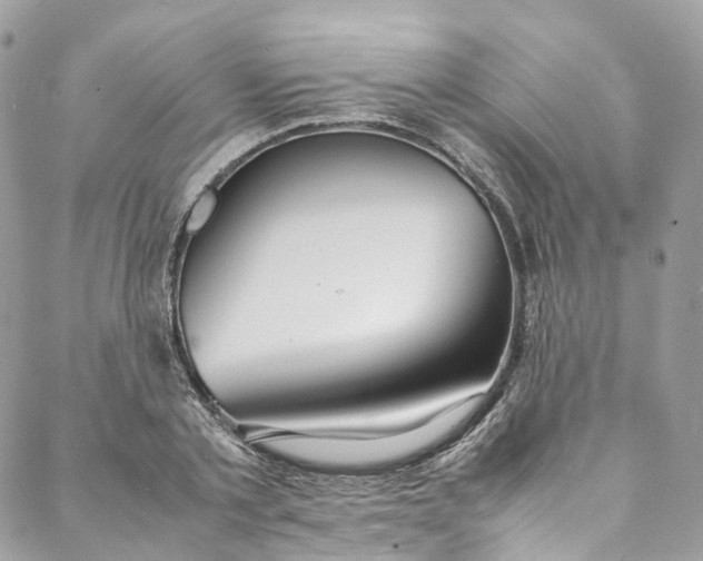 X0000088070789200705251401