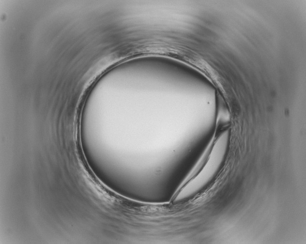 X0000088070795200705251401