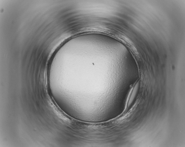 X0000088070796200705251401