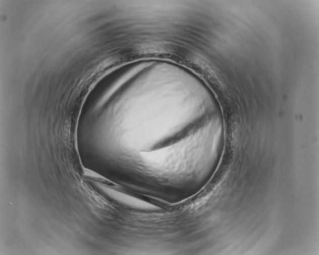 X0000088070825200705251400