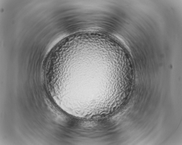 X0000088070835200705251400