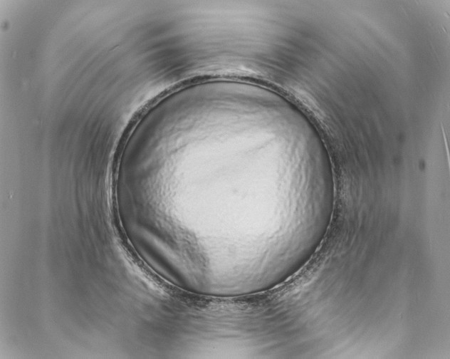 X0000088070840200705251400
