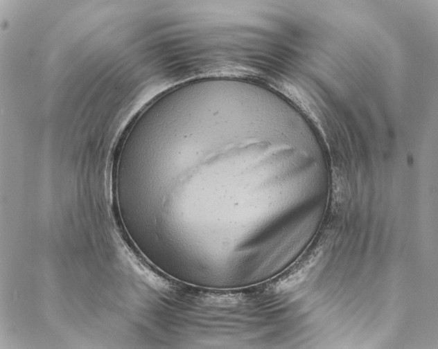 X0000088070843200705251400