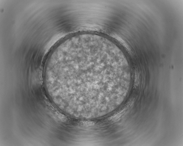X0000088070878200705251359