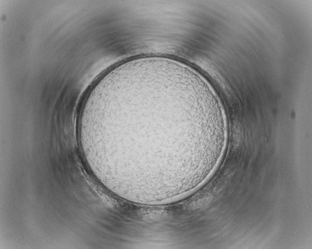 X0000088070886200705251359