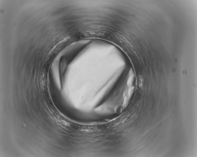 X0000088070915200705251358