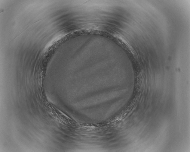 X0000088070919200705251358