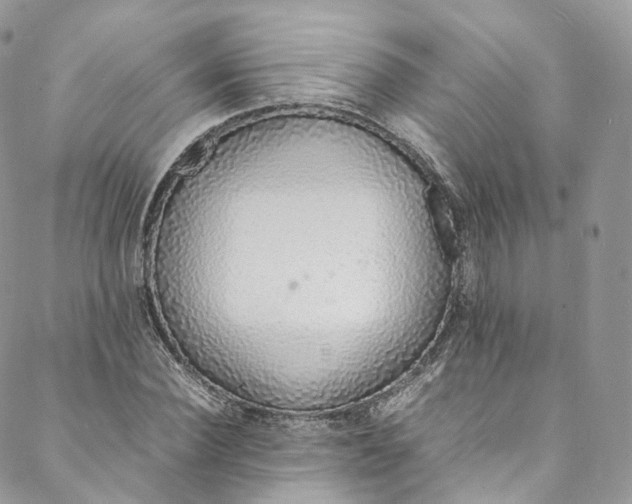 X0000088070924200705251358