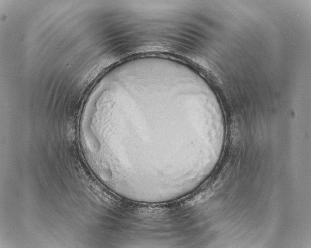 X0000088070929200705251358